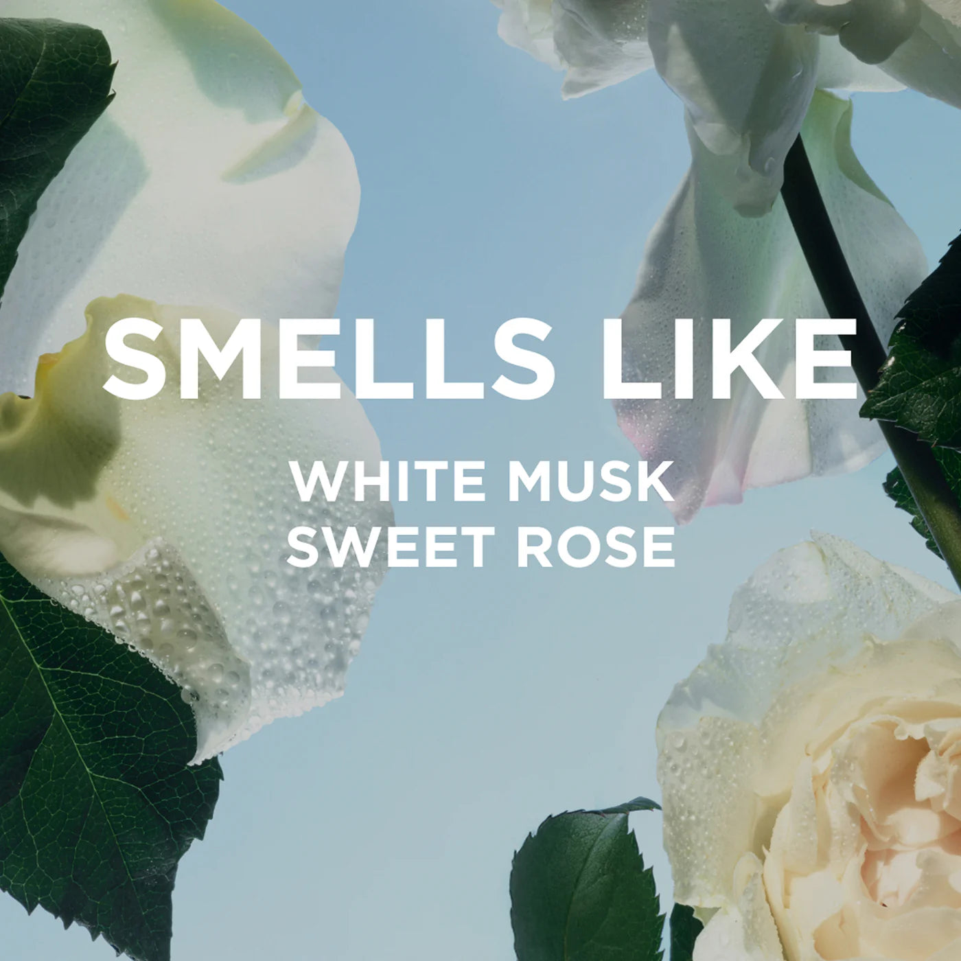 Rosie Perfume Oil