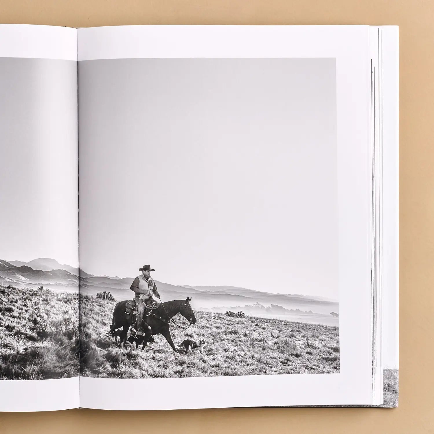 West: The American Cowboy