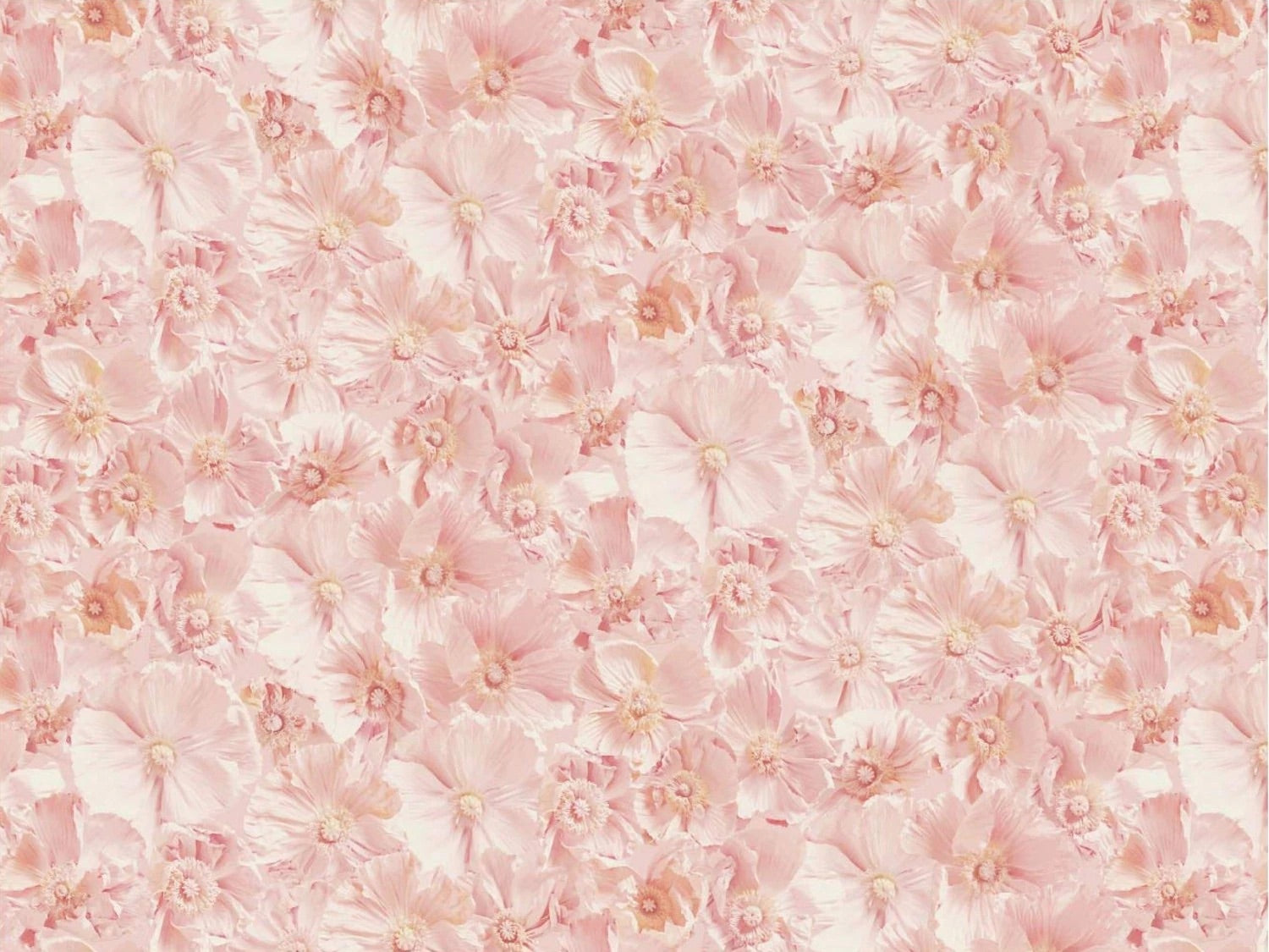 Ashley Woodson Bailey Puzzle