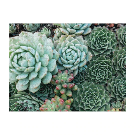 Succulent Garden Puzzle